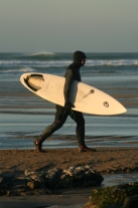 surfer walking